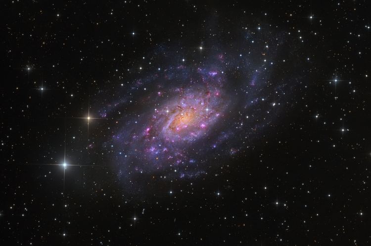 NGC 2403 APOD 2015 March 27 NGC 2403 in Camelopardalis
