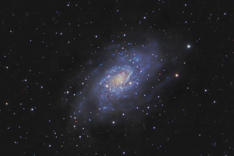 NGC 2403 Astronomers Do It In The Dark NGC 2403 A Spiral Galaxy in