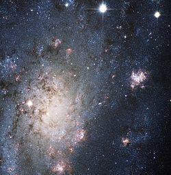 NGC 2403 httpsuploadwikimediaorgwikipediacommonsthu