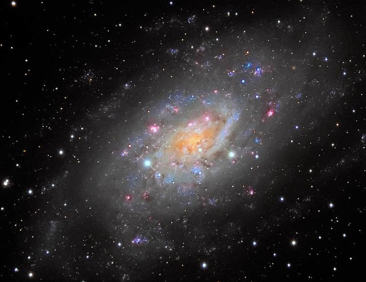 NGC 2403 Astronomy Photo of the Day 2515 NGC 2403
