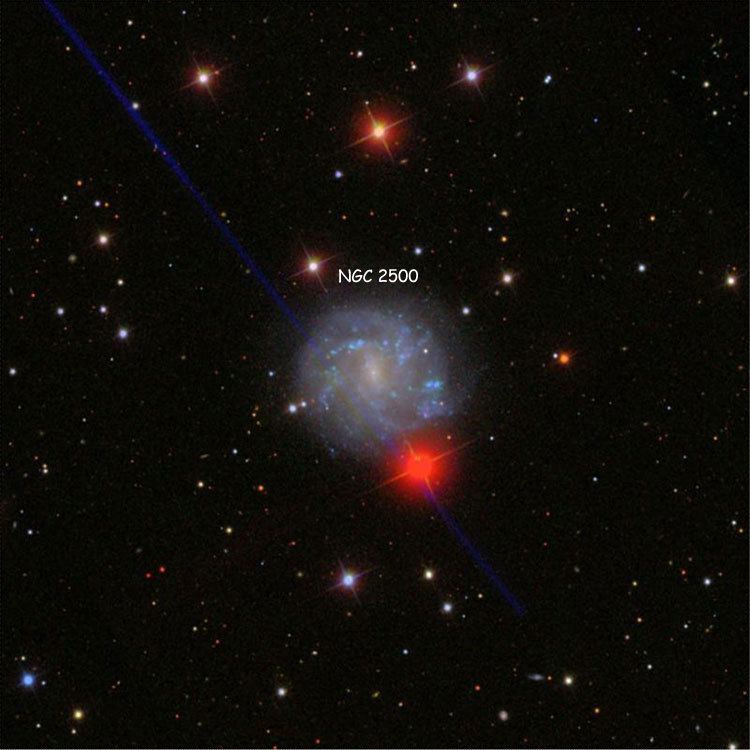 NGC 2500 cseligmancomtextatlasngc2500widejpg