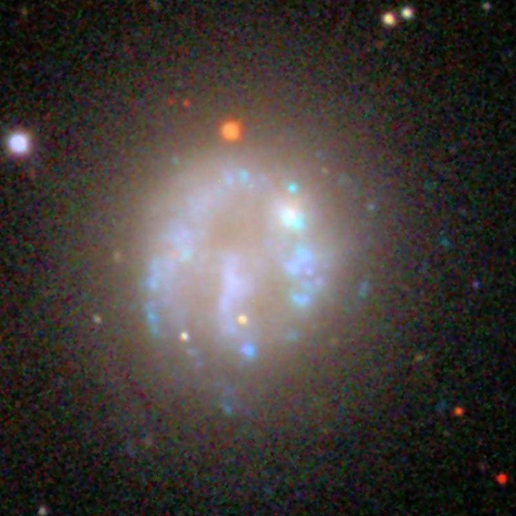 NGC 2537 New General Catalog Objects NGC 2500 2549