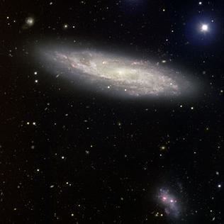 NGC 2770 httpsuploadwikimediaorgwikipediaen886NGC