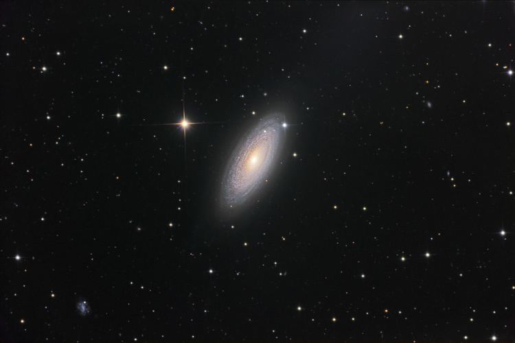 NGC 2841 Gallery Johannes Schedler