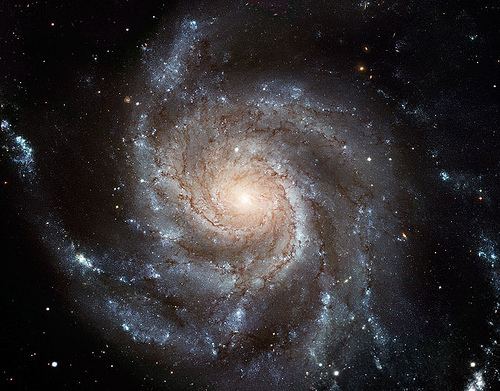 NGC 2841 APOD Massive Nearby Spiral Galaxy NGC 2841 2014 Apr 21 Starship