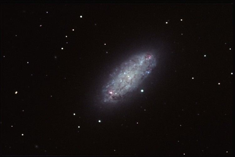 NGC 2976 Best of AOP NGC 2976