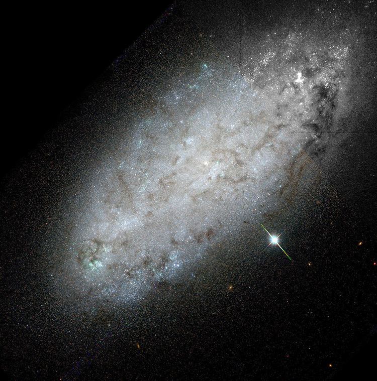 NGC 2976 NGC 2976 Wikipedia wolna encyklopedia