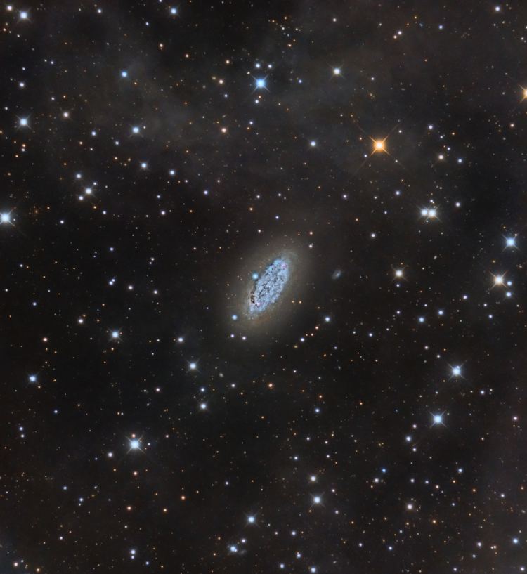 NGC 2976 NGC 2976 Salvatore Iovene