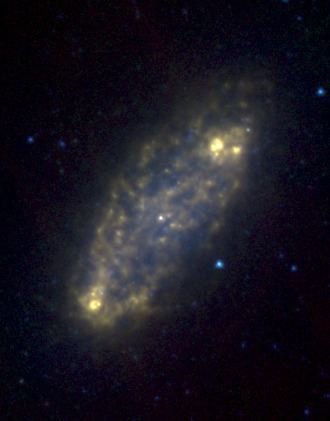 NGC 2976 NGC 2976 Wikipedia
