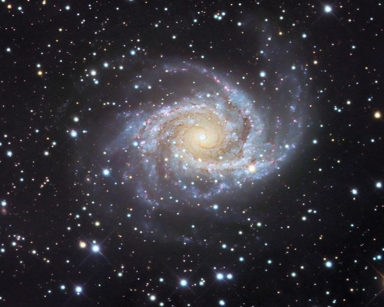 NGC 2997 NGC 2997 a grand design spiral galaxy in Antlia Anne39s Astronomy News