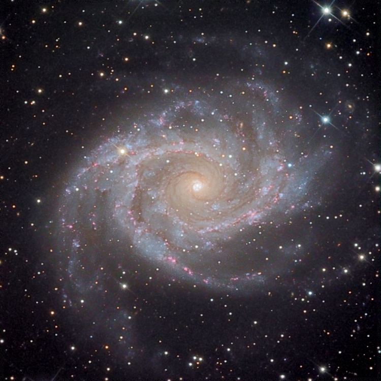 NGC 2997 Star Shadows Remote Observatory Gallery