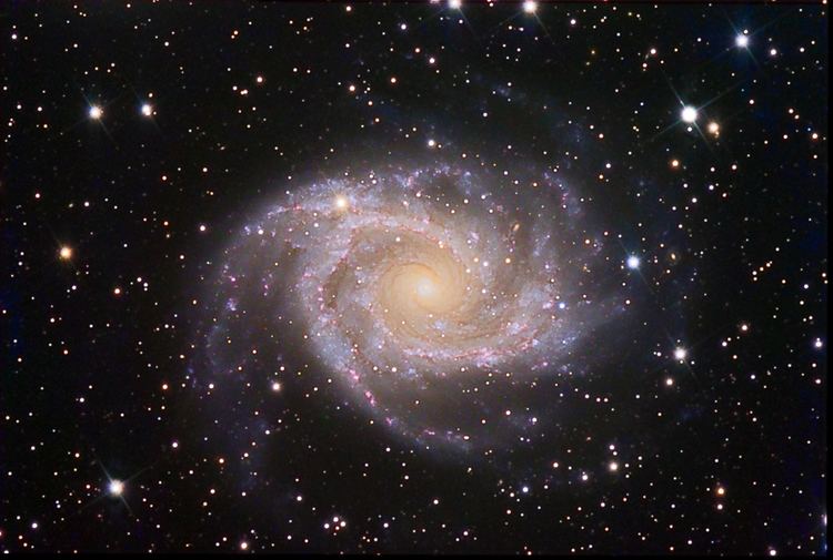 NGC 2997 NGC 2997 in Antlia