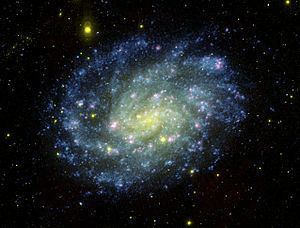 NGC 300 httpsuploadwikimediaorgwikipediacommonsthu