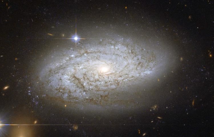 NGC 3021 cdnscinewscomimagesenlargeimage2645eNGC30
