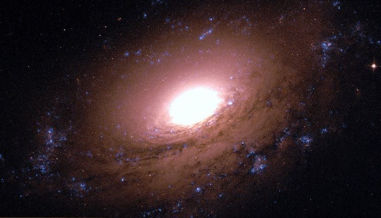 NGC 3169 NGC 3169 Wikiwand