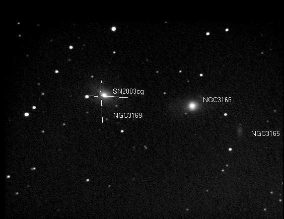NGC 3169 Supernova 2003cg in NGC 3169