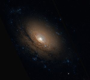 NGC 3169 NGC 3169 Wikipedia