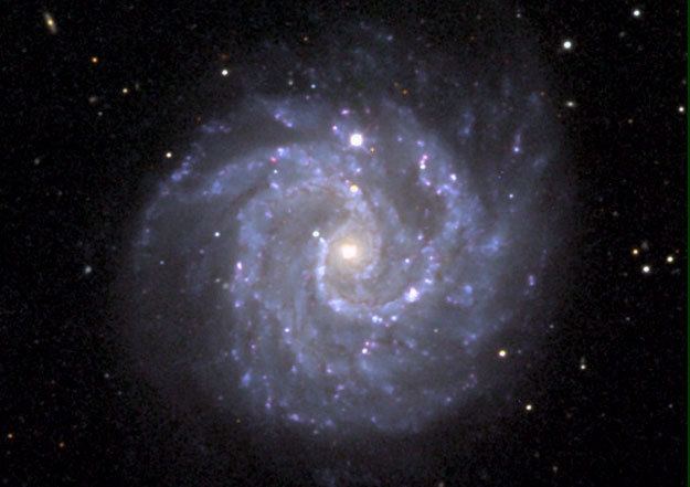 NGC 3184 APOD 2000 September 20 Gangly Spiral Galaxy NGC 3184