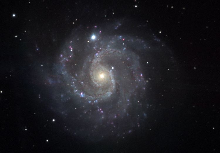 NGC 3184 Best of AOP NGC 3184