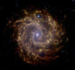 NGC 3184 httpsuploadwikimediaorgwikipediacommonsthu