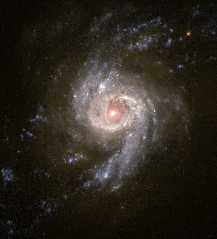 NGC 3310 httpsuploadwikimediaorgwikipediacommons44