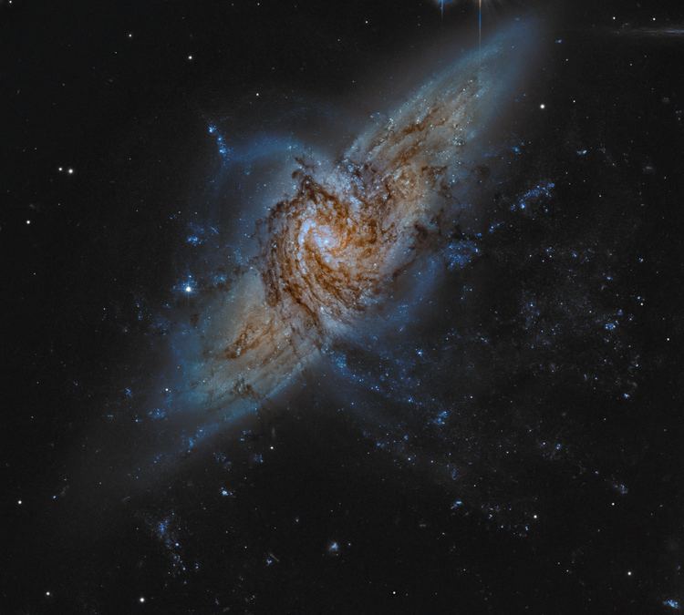 NGC 3314 APOD 2011 July 15 NGC 3314 When Galaxies Overlap