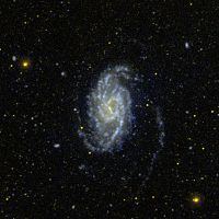 NGC 3359 httpsuploadwikimediaorgwikipediacommonsthu