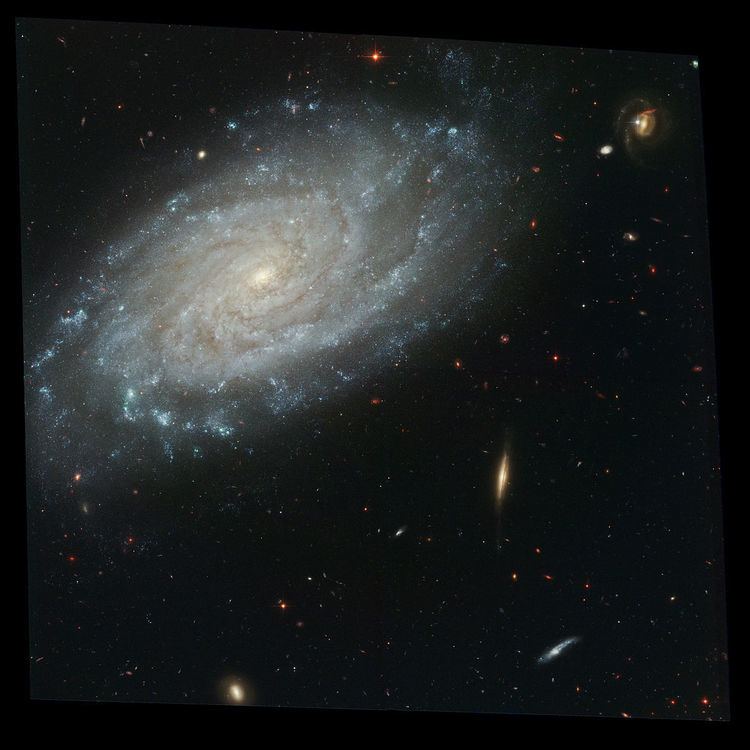 NGC 3370 httpsuploadwikimediaorgwikipediacommonsthu