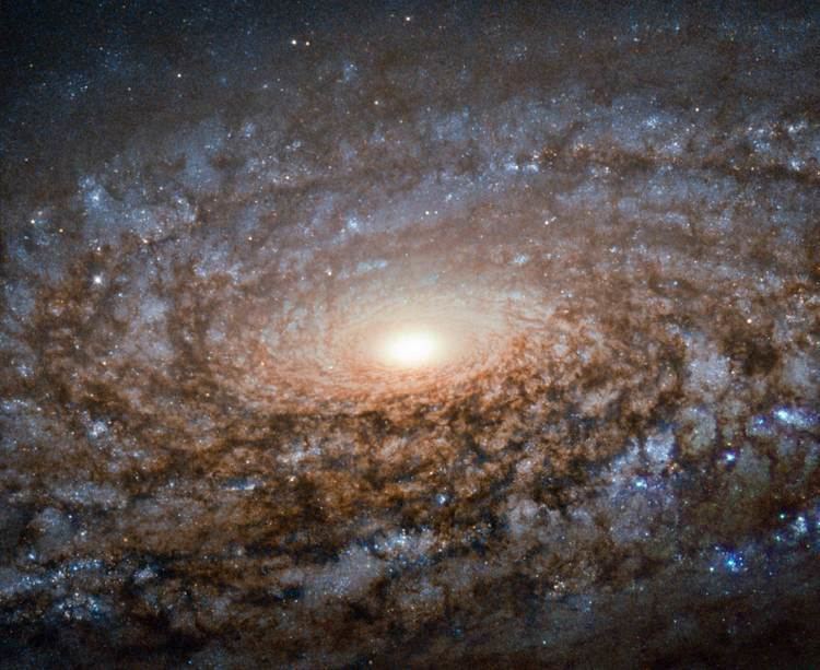 NGC 3521 Hubble Space Telescope Zooms in on Spiral Galaxy NGC 3521