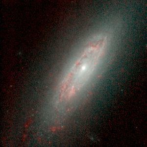 NGC 3593 httpsuploadwikimediaorgwikipediacommonsthu