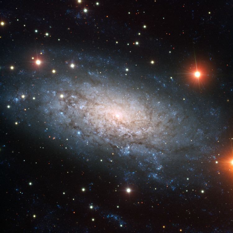NGC 3621 A galaxy full of surprises NGC 3621 is bulgeless but has three