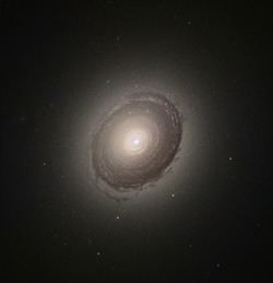 NGC 383 httpsuploadwikimediaorgwikipediacommonsthu