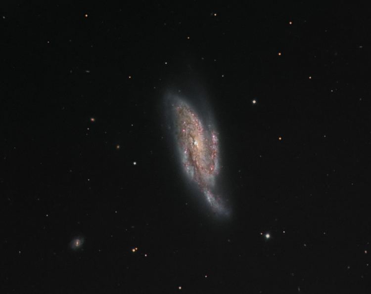 NGC 4088 Webb DeepSky Society Galaxy of the Month NGC4088