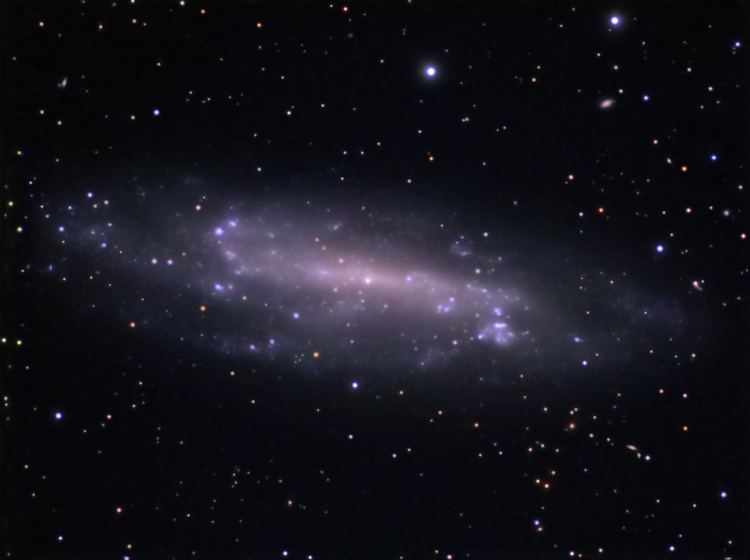 NGC 4236 NGC 4236 in Draco