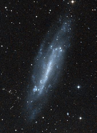 NGC 4236 NGC 4236