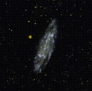 NGC 4236 NGC 4236 Wikipedia
