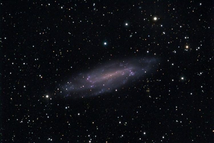 NGC 4236 NGC 4236