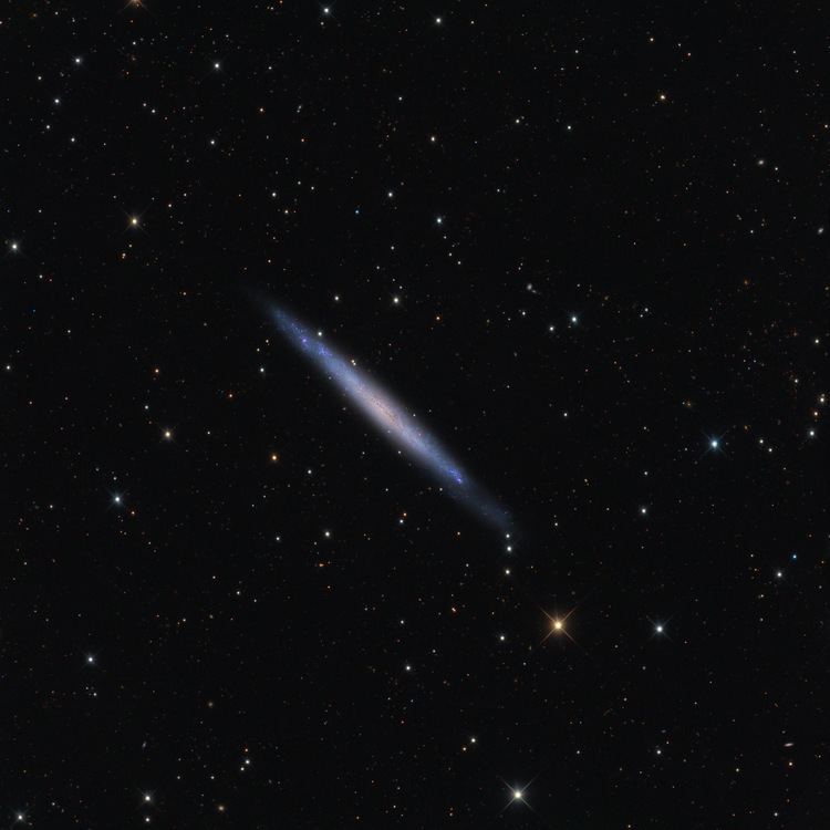 NGC 4244 Silver Needle Galaxy NGC 4244