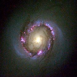 NGC 4314 httpsuploadwikimediaorgwikipediacommonsthu