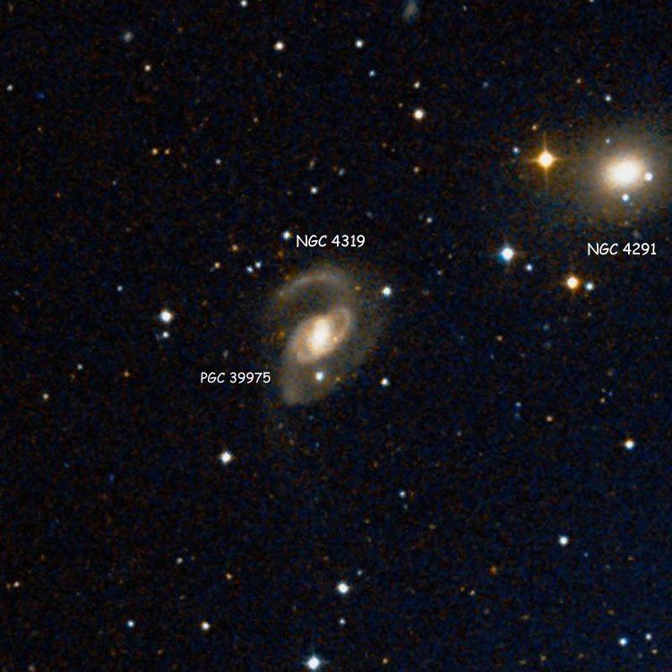 NGC 4319 New General Catalog Objects NGC 4300 4349