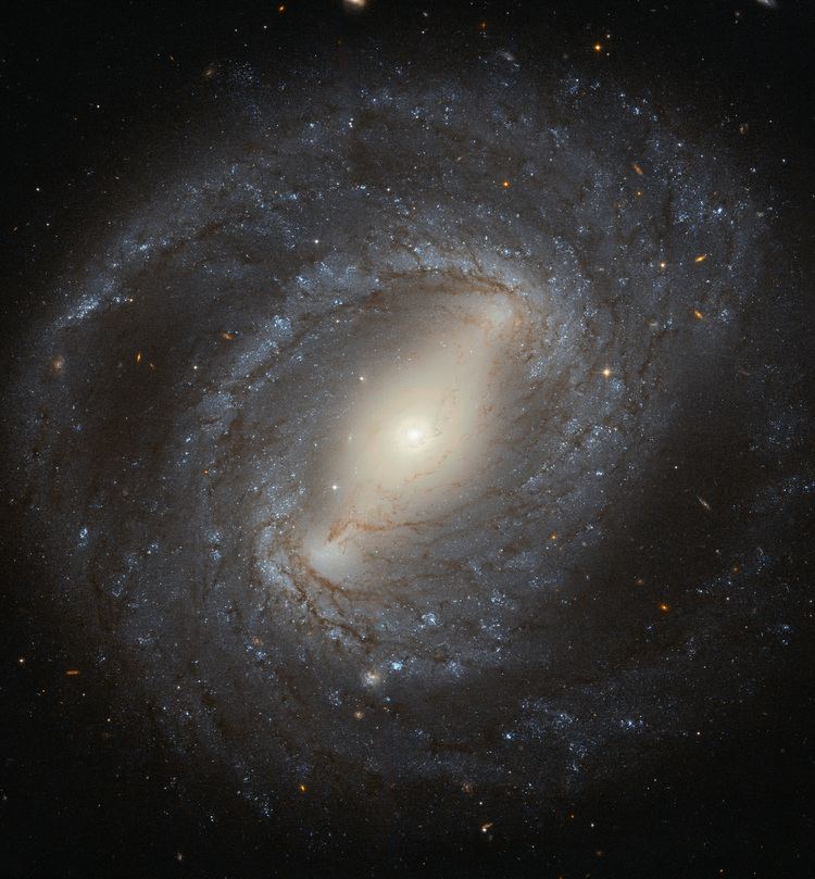 NGC 4394 httpscdnspacetelescopeorgarchivesimageslar