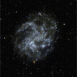 NGC 4395 httpsuploadwikimediaorgwikipediacommonsthu