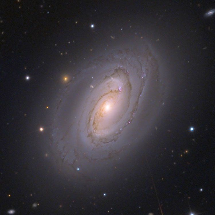 NGC 4450 cseligmancomtextatlasngc4450blockjpg
