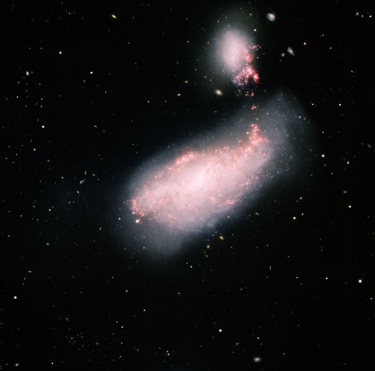 NGC 4490 National Optical Astronomy Observatory NGC 4490