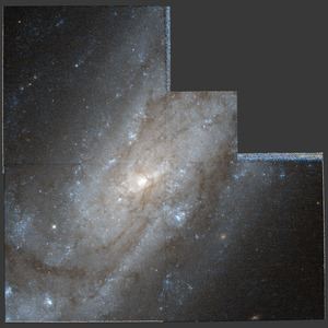 NGC 4559 httpsuploadwikimediaorgwikipediacommonsthu