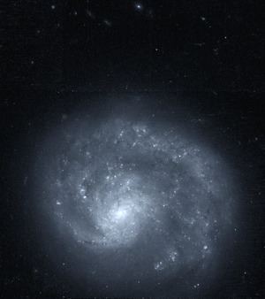 NGC 4625 httpsuploadwikimediaorgwikipediacommonsthu