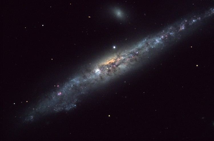 NGC 4631 APOD 2004 January 23 NGC 4631 The Whale Galaxy
