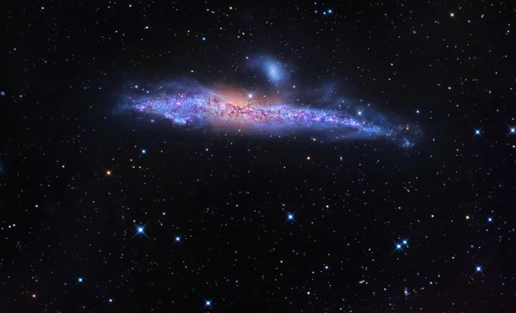 NGC 4631 NGC 4631 in Canes Venatici