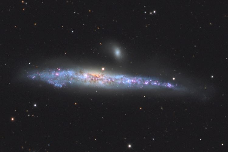 NGC 4631 NGC 4631