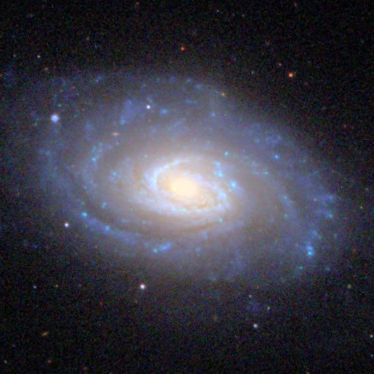 NGC 4651 New General Catalog Objects NGC 4650 4699